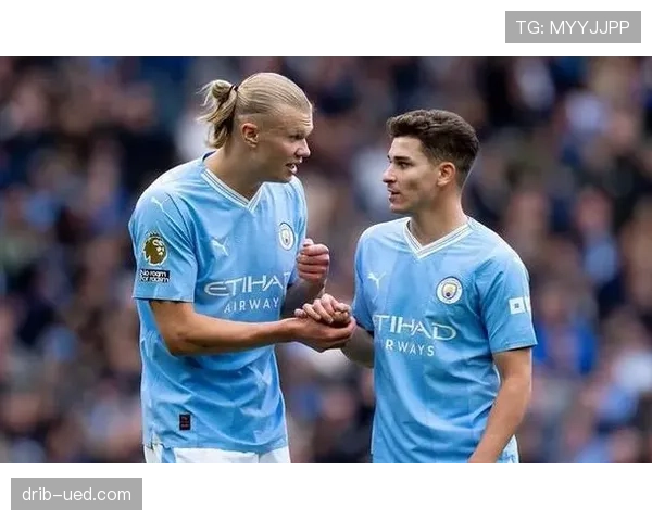 帕尔默与阿尔瓦雷斯轮换效率及战术适配性深度对比